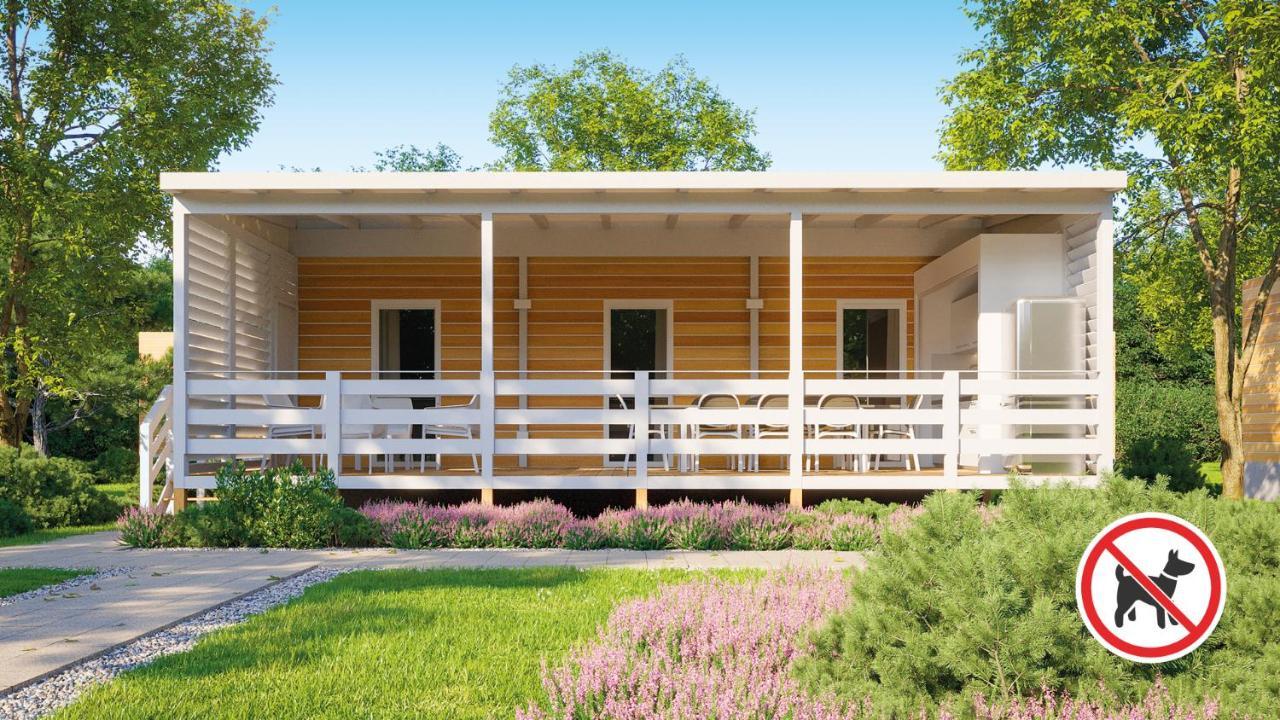Large Executive Mobile Home Garden view