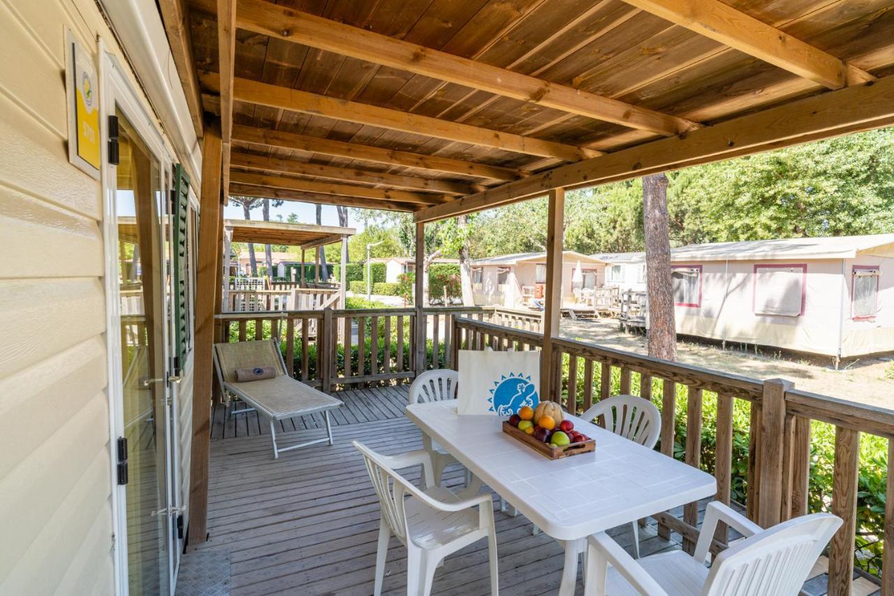 Standard Mobile Home Disability access