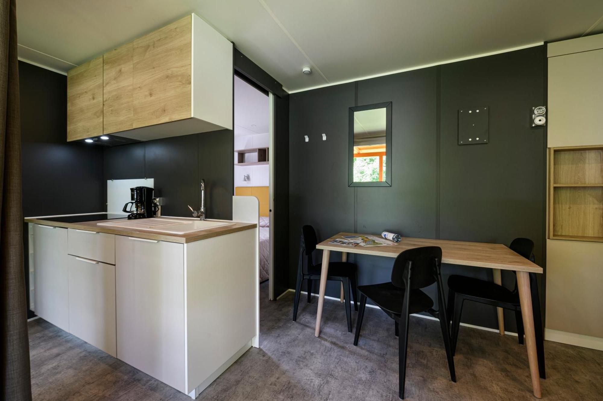 Large Mobile Home