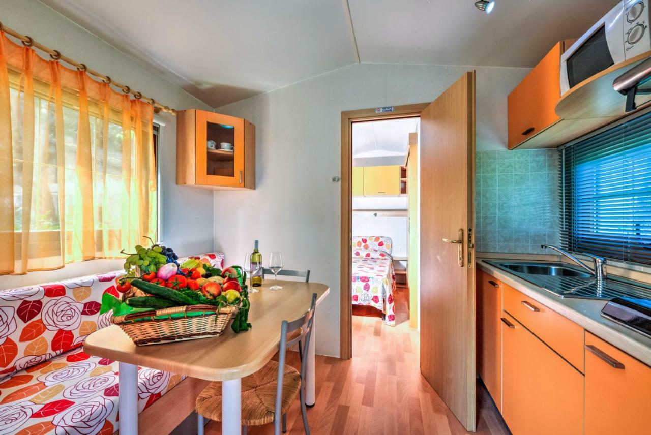 Mobile Home