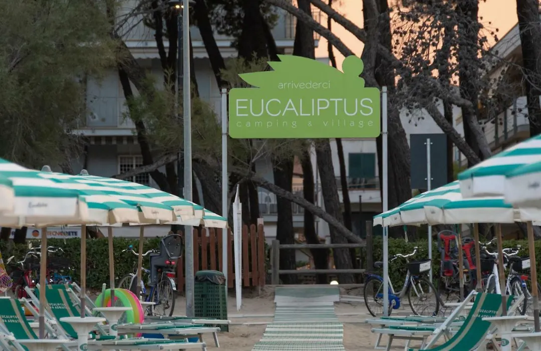 Camping & Village Eucaliptus-1
